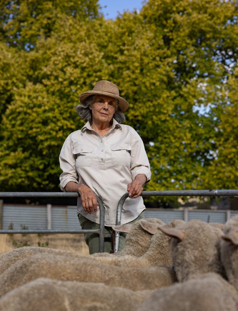 Woman standing among sheep beside a fence