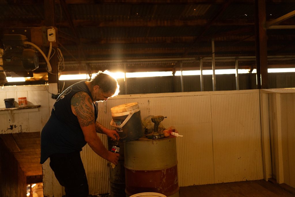 Worker inside a shearing shed illuminated by a shaft of sunlight