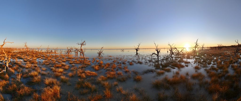 Flooded woodland in golden light at Cawndilla