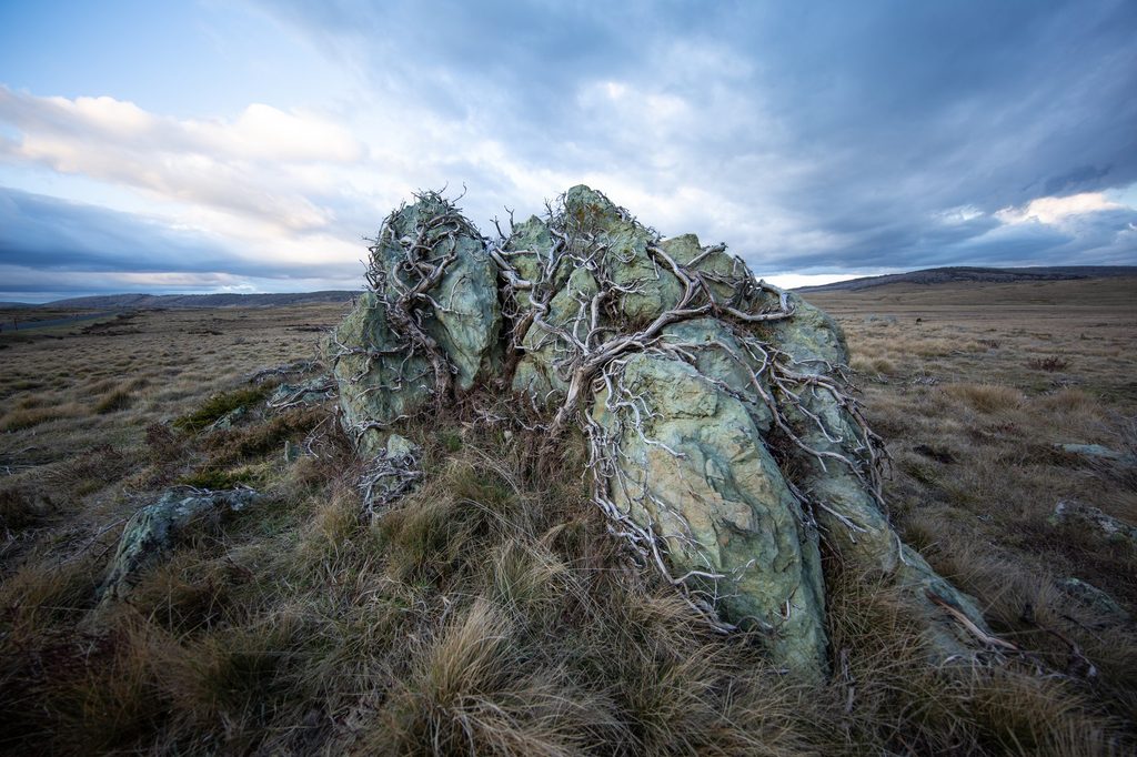 Weathered rock and alpine grass on the High Plains