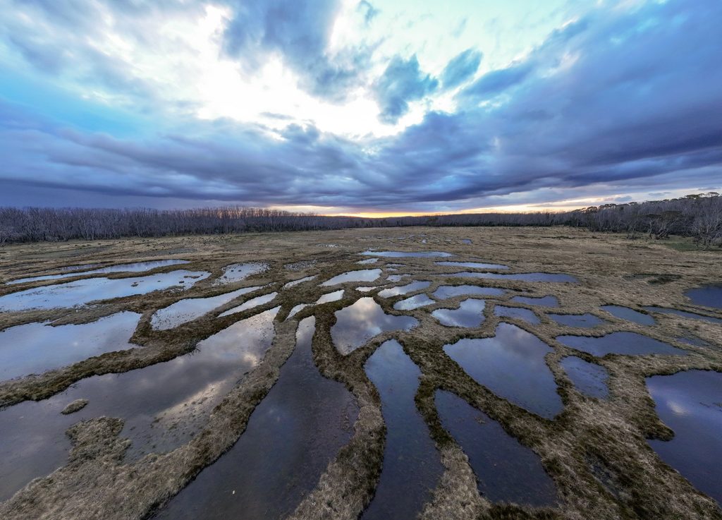 Water channels through a High Plains wetland