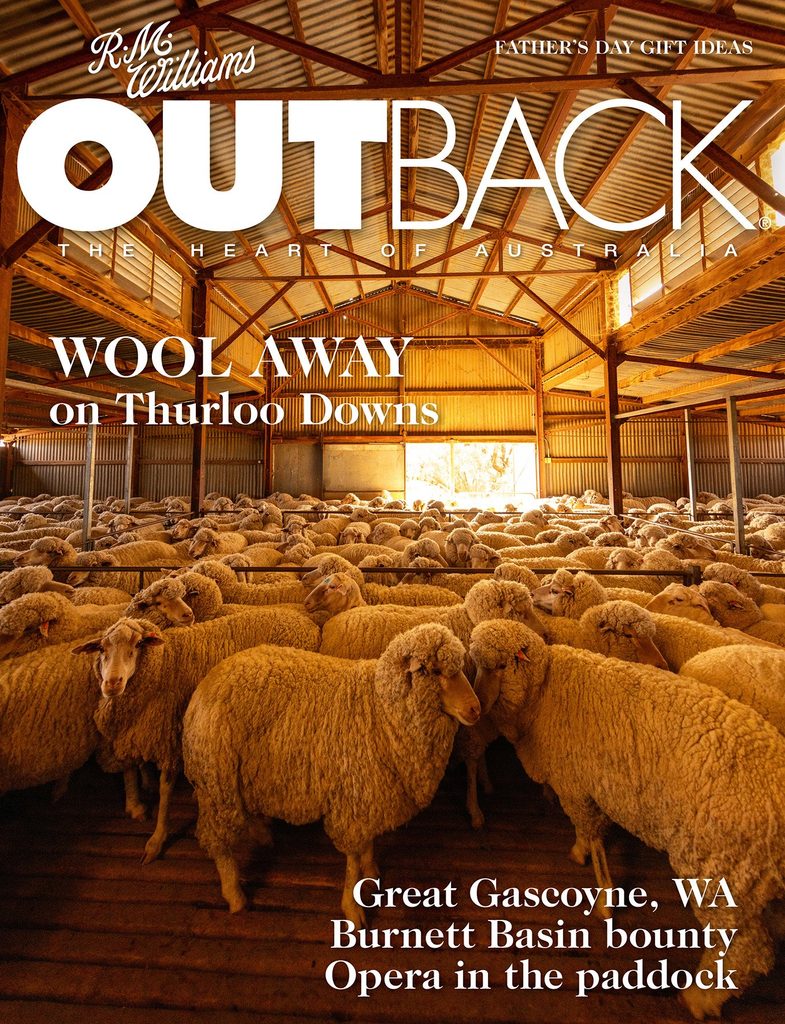 OUTBACK magazine issue 162 cover featuring sheep in a shed